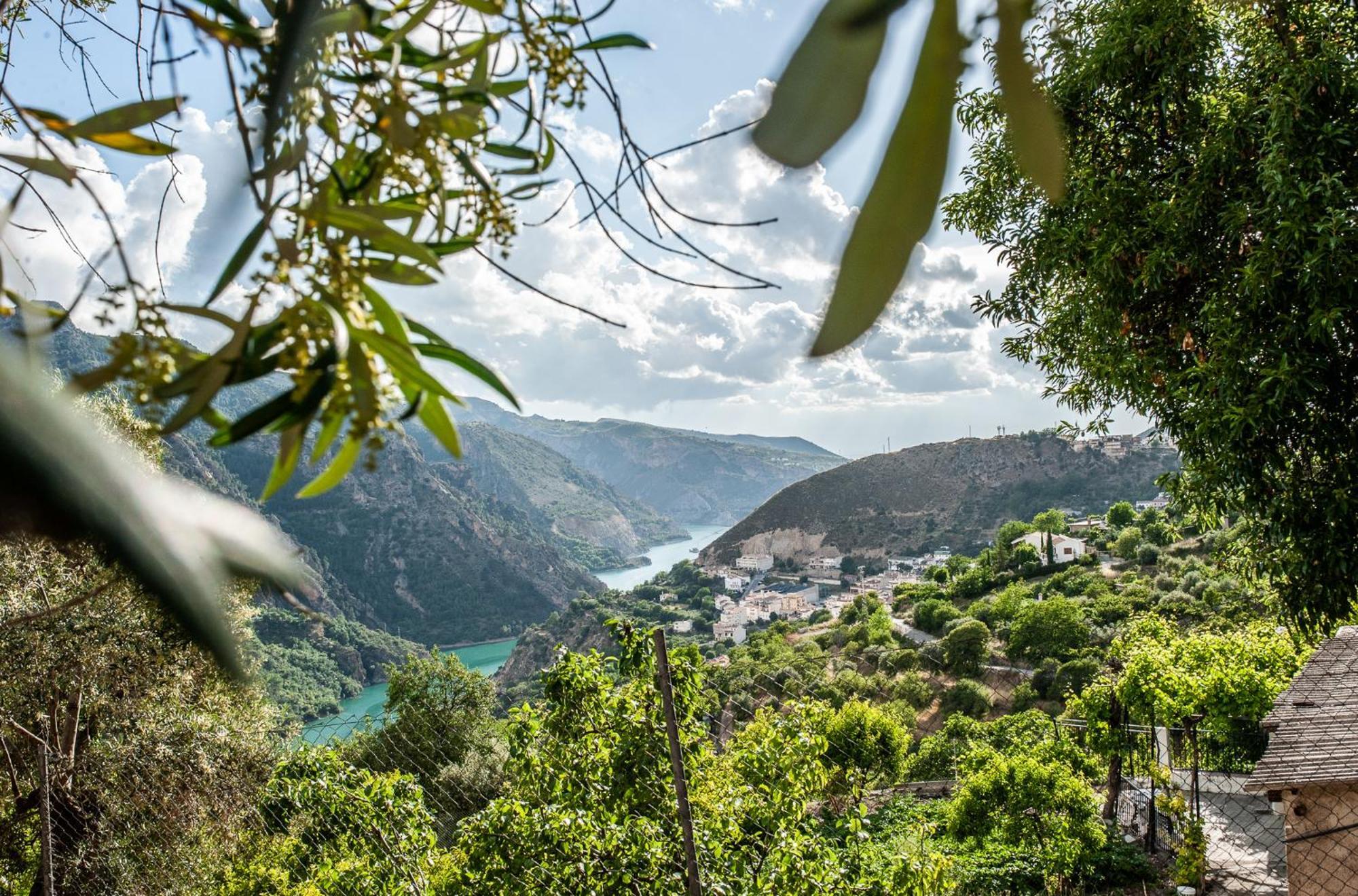 Casa Mona- Andalucian Mountain Village Getaway 圭哈尔谢拉 外观 照片